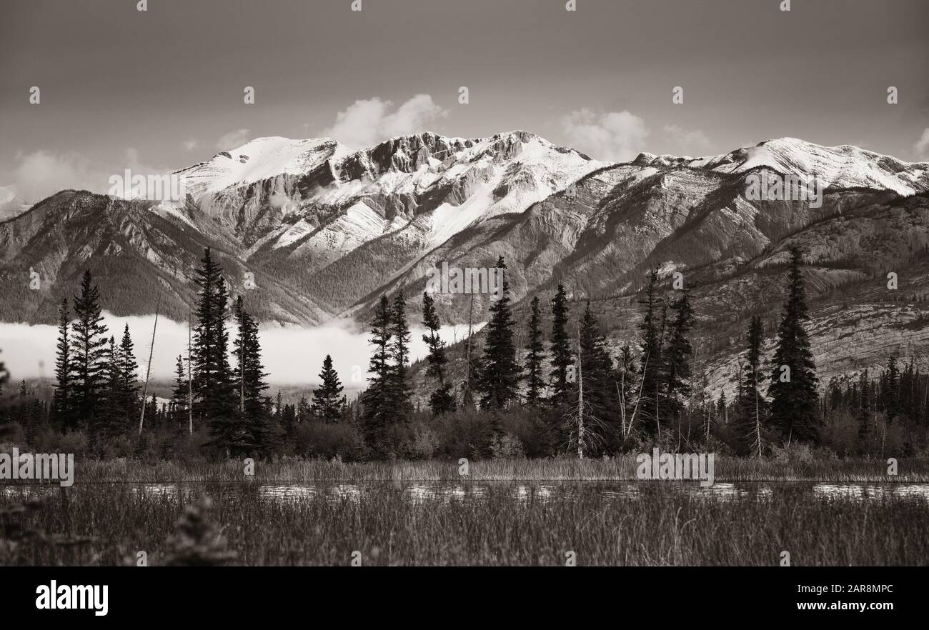 Bellissima scena nel Parco Nazionale di Jasper in Canada Foto Stock