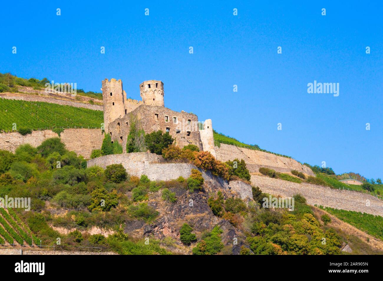 Storico castello Maus, Sankt Goar Germania, visto da lungo il Fiume Reno Foto Stock