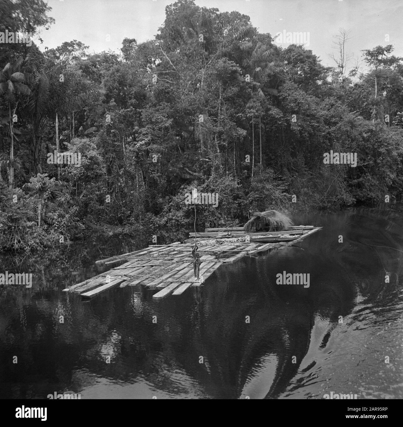 Viaggio in Suriname e le Antille olandesi Dal bosco abbattuto una zattera è fatta con liane che scendono il fiume Marowijn Annotazione: Sulla zattera una capanna in cui i vogatori, il 'yuka', vivono a volte con le loro famiglie Data: 1947 posizione: Marowijne, Suriname Parole Chiave: Industria del legno, giungle, zattere Foto Stock