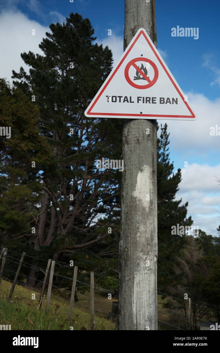 Waitakere Ranges, Henderson, Auckland West Coast, Northland, Nuova Zelanda Total Fire ban Fire season bianco triangolo triangolo triangolare avvertimento alberi Foto Stock