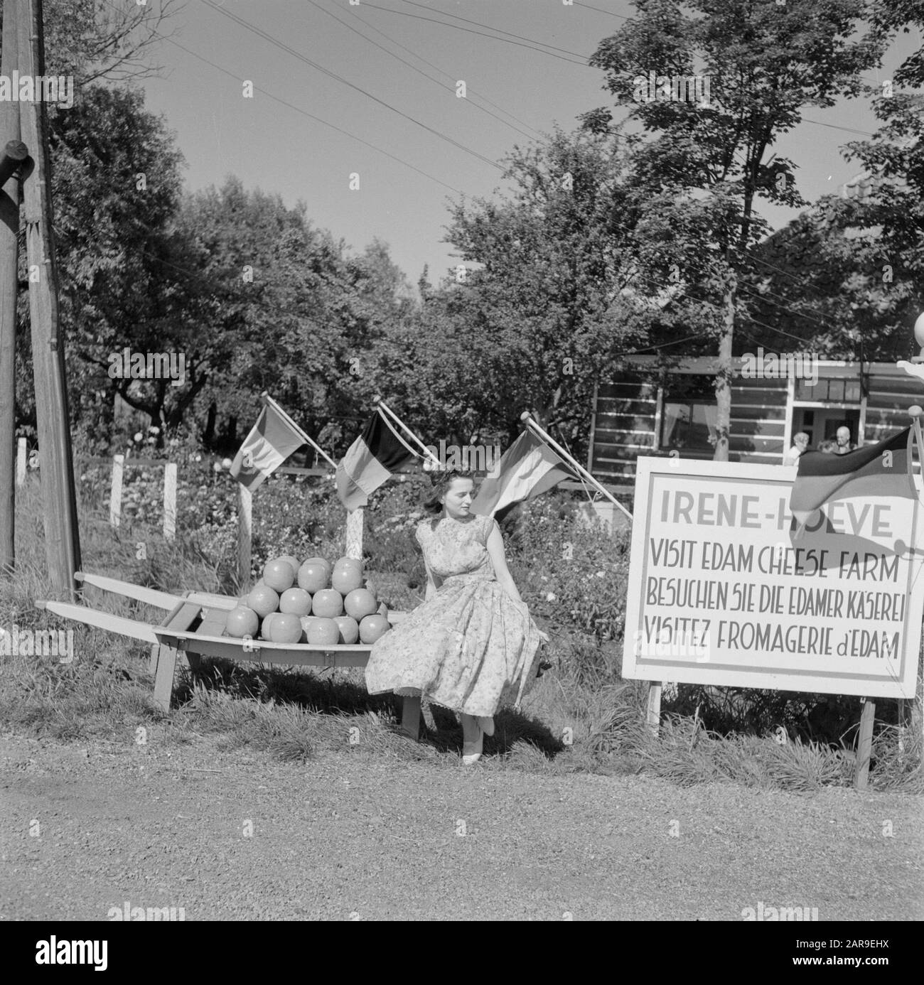 Volendam Volendam. Irene-Hoeve: Ragazza siede su una berrie con formaggi, accanto a un cartellone in tre lingue Data: 1 settembre 1959 luogo: Noord-Holland, Volendam Parole Chiave: Immagini del villaggio, formaggio, caseifici, ragazze, cartelloni, turismo, allevamento di bestiame, bandiere Foto Stock