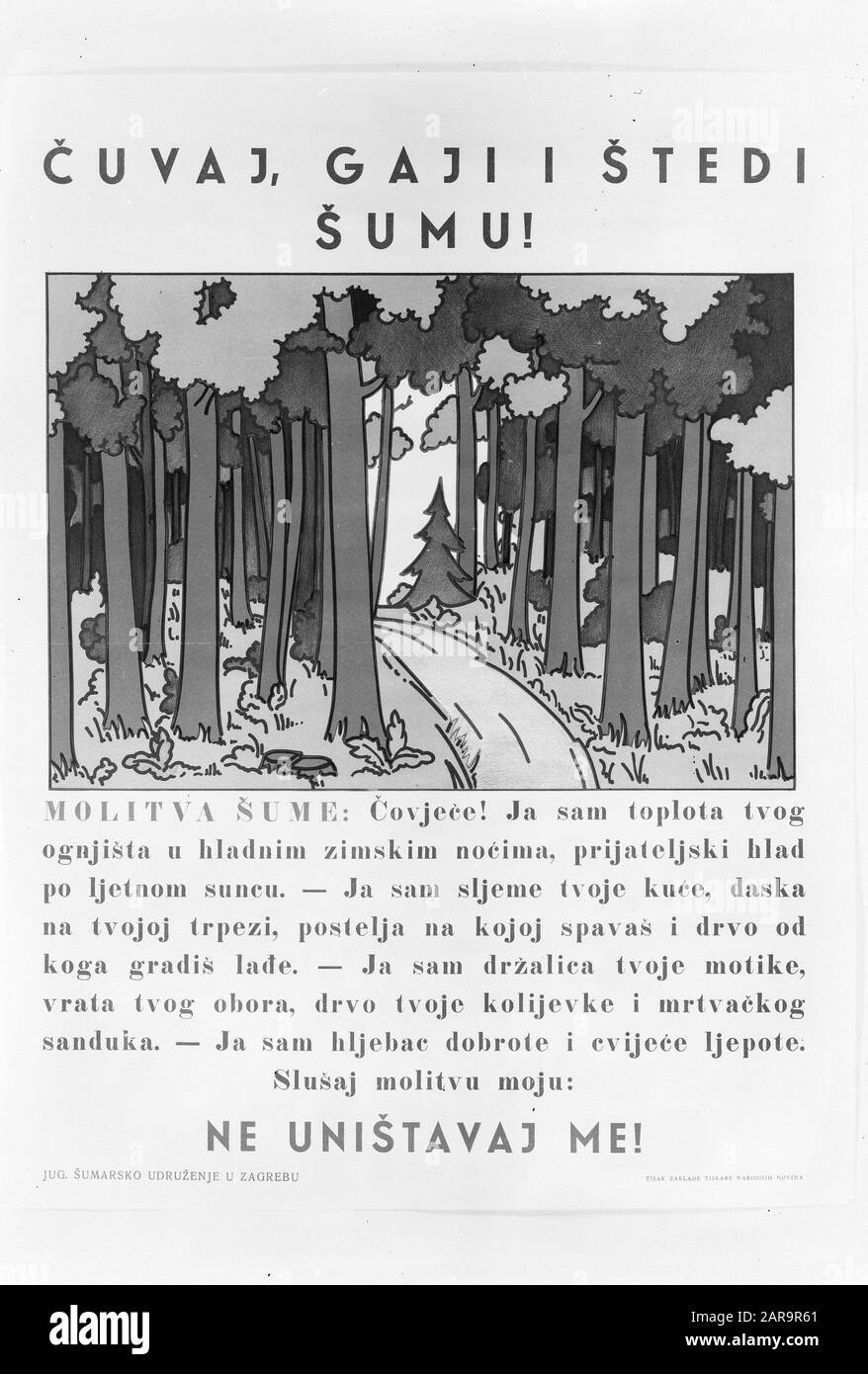 Riproduzioni, incendi boschivi Data: Parole Chiave dense: Fuochi d'artificio, riproduzioni Foto Stock