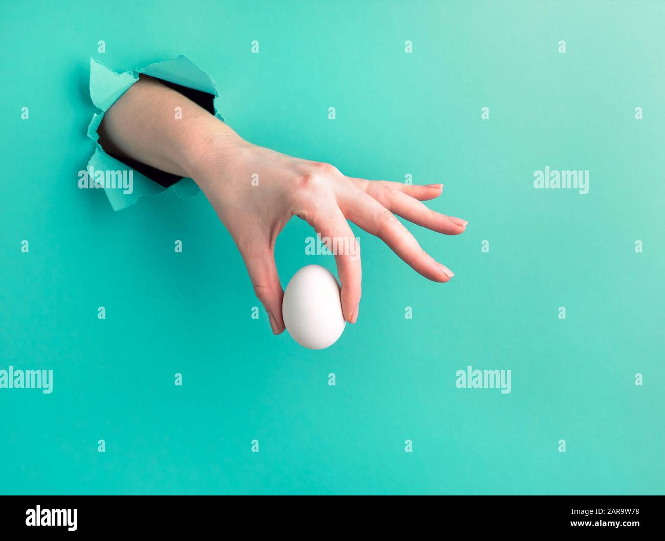 La mano di una donna tiene un uovo bianco attraverso un buco su uno sfondo verde. Foto orizzontale con spazio di copia Foto Stock