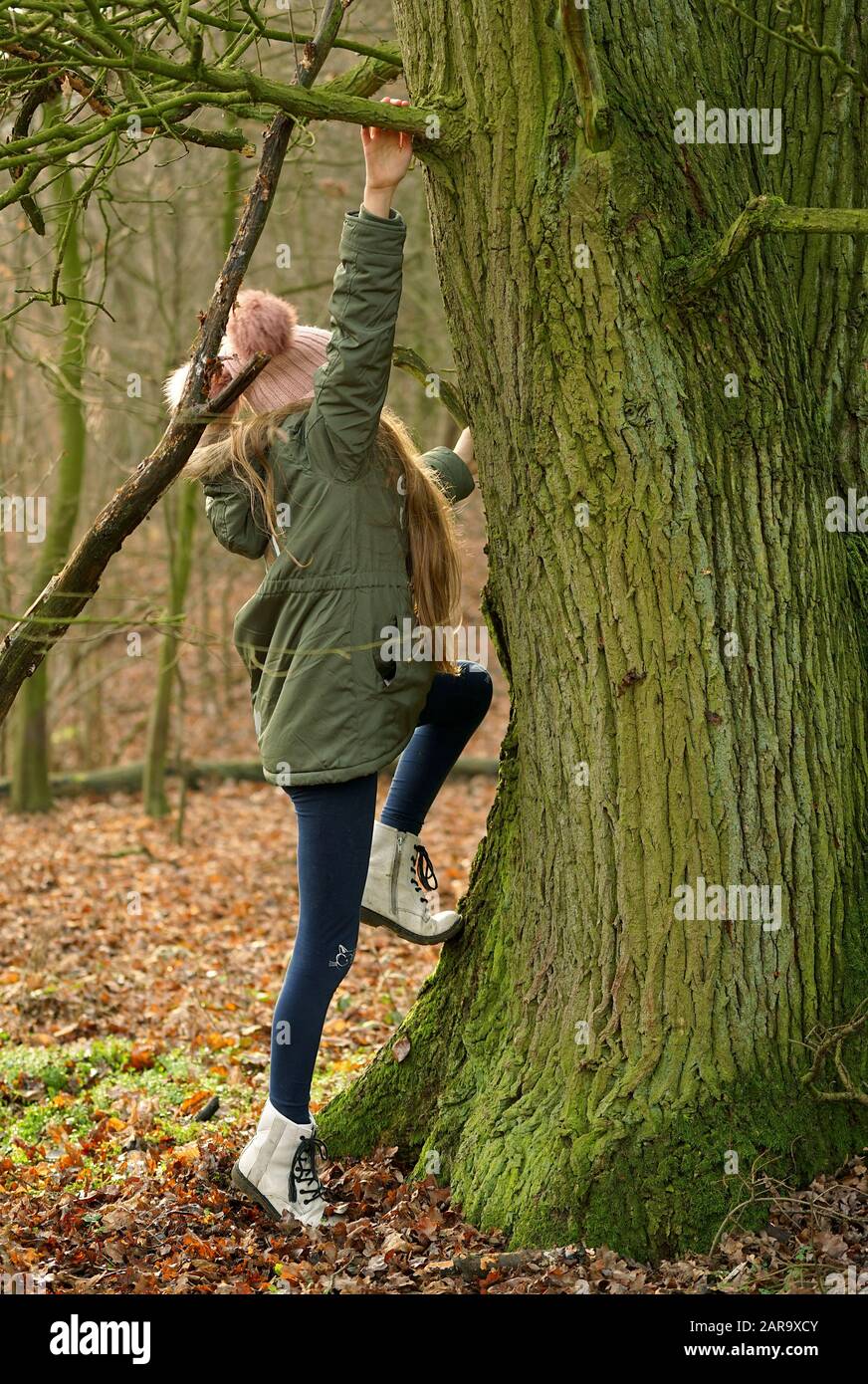 divertimento di una ragazza in un viaggio d'autunno nella foresta - arrampicata su un albero Foto Stock