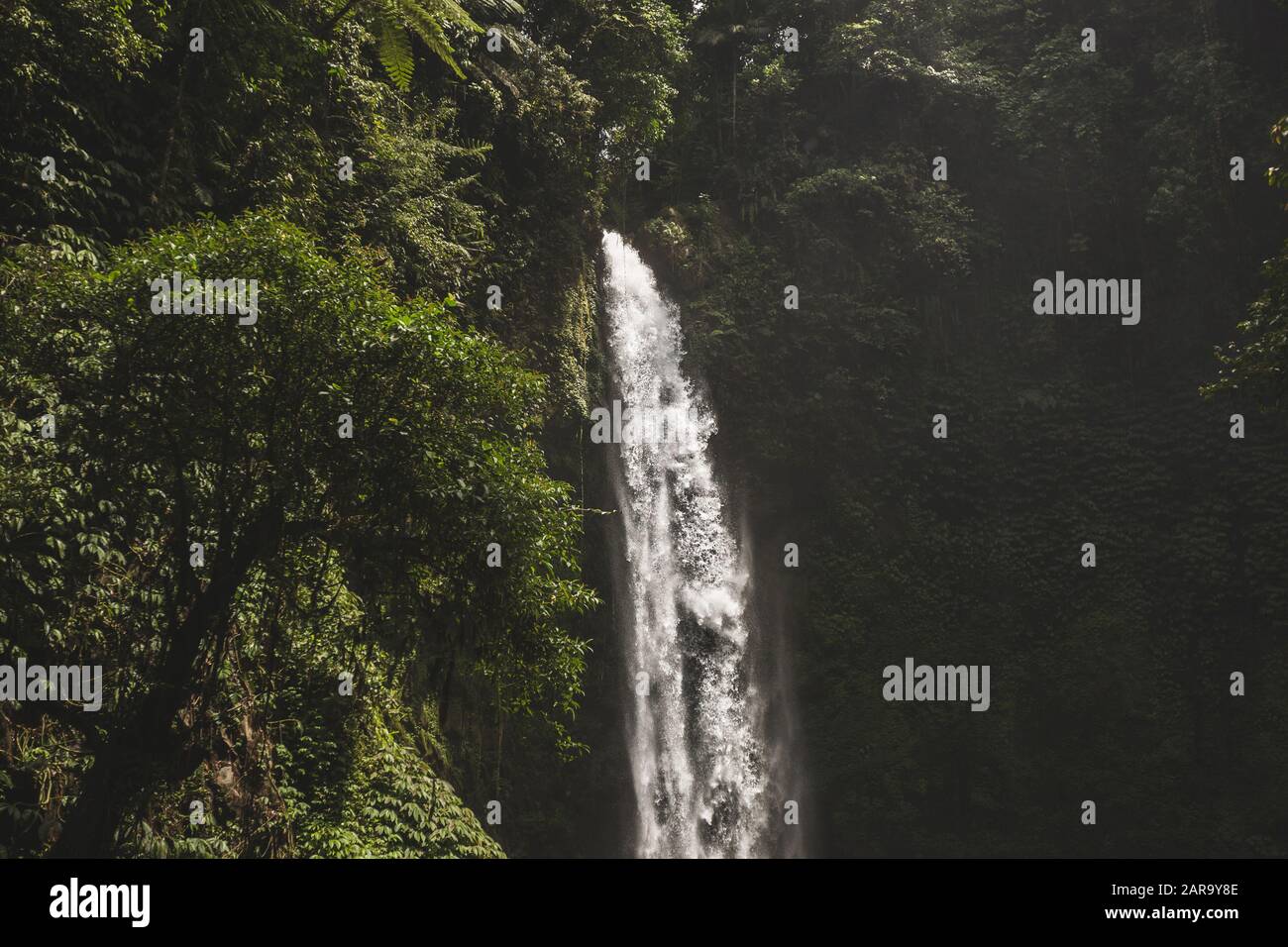 Enorme cascata Nung Nung nella giungla di Bali. Natura giungla Foto Stock