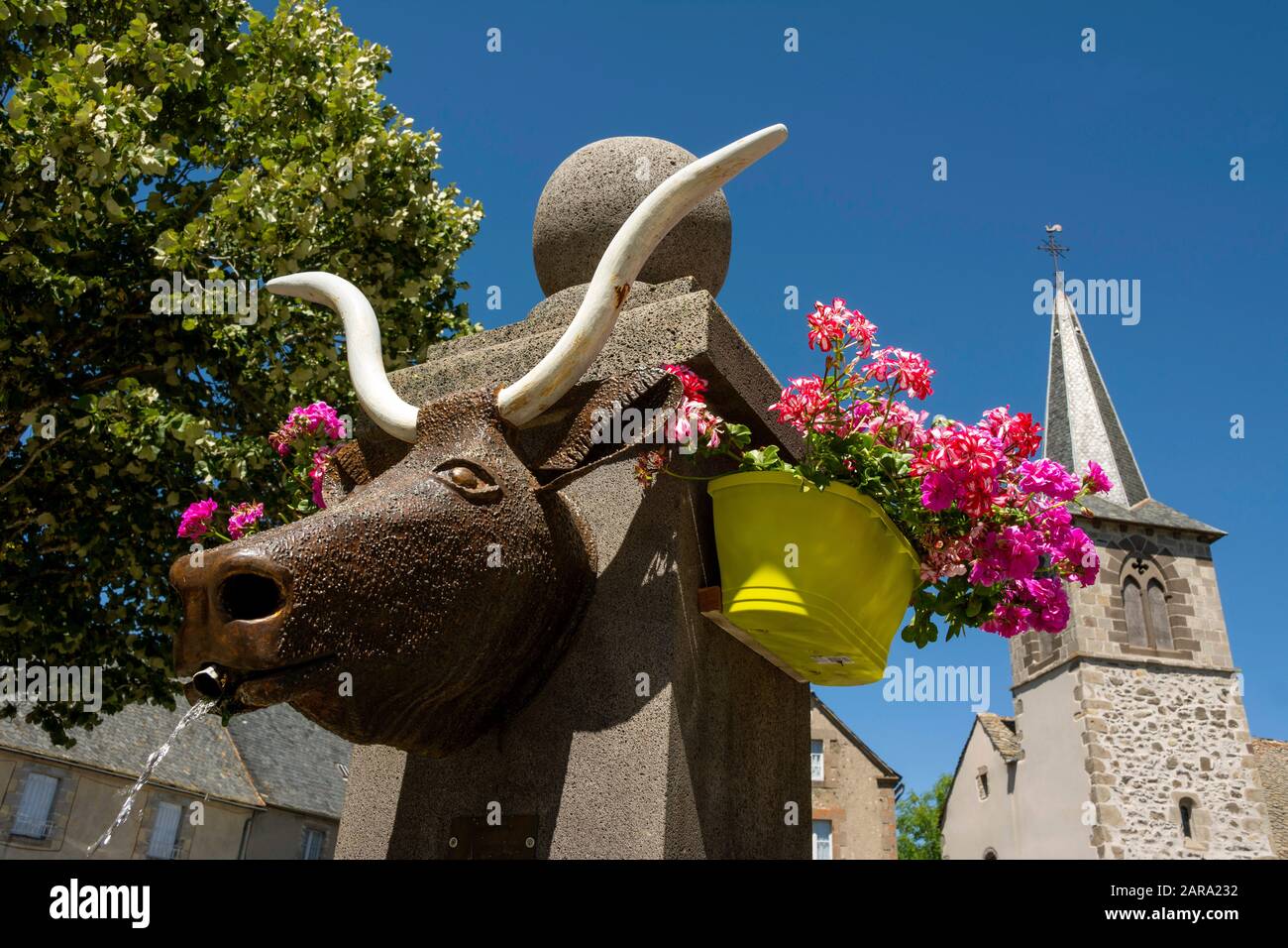 Montgreix villaggio. Fontana del villaggio che rappresenta una testa di vacca di salers, Cantal, Auvergne-Rhone-Alpes, Francia Foto Stock