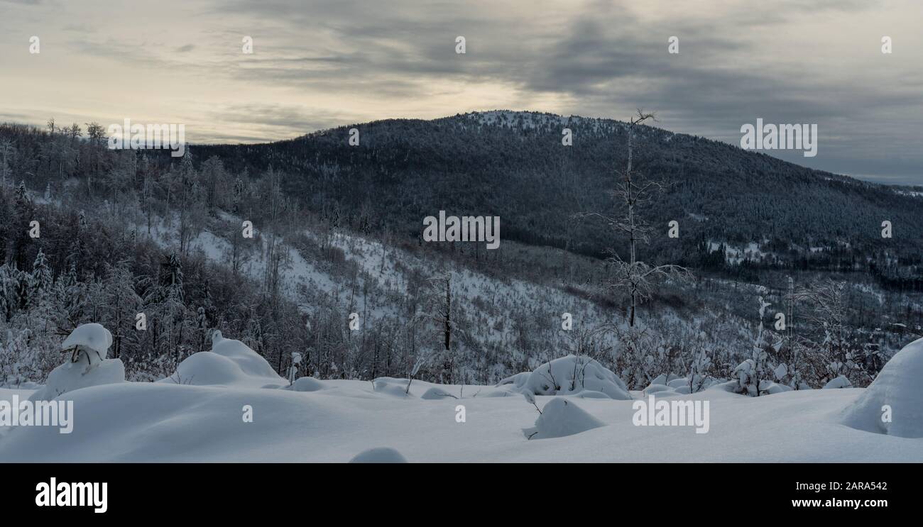 Velka Raca collina da sentiero escursionistico a monte Kykula in Kysucke Beskydy montagne su slovacco - polacco confini durante il gelo giorno invernale Foto Stock