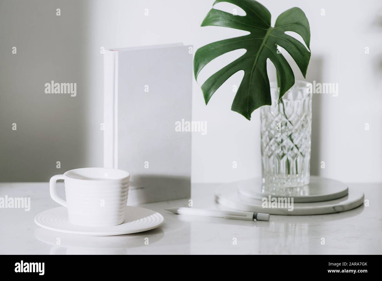 Monstera tropicale di foglie di palma in un vaso di vetro in piedi sulla tavola di office con fermo Foto Stock