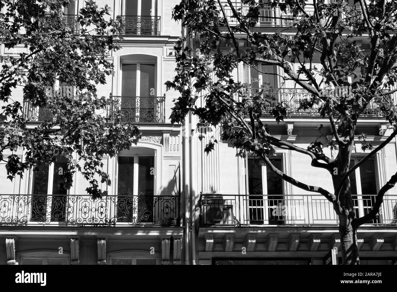 Vecchie Case, Parigi, Francia, Europa Foto Stock