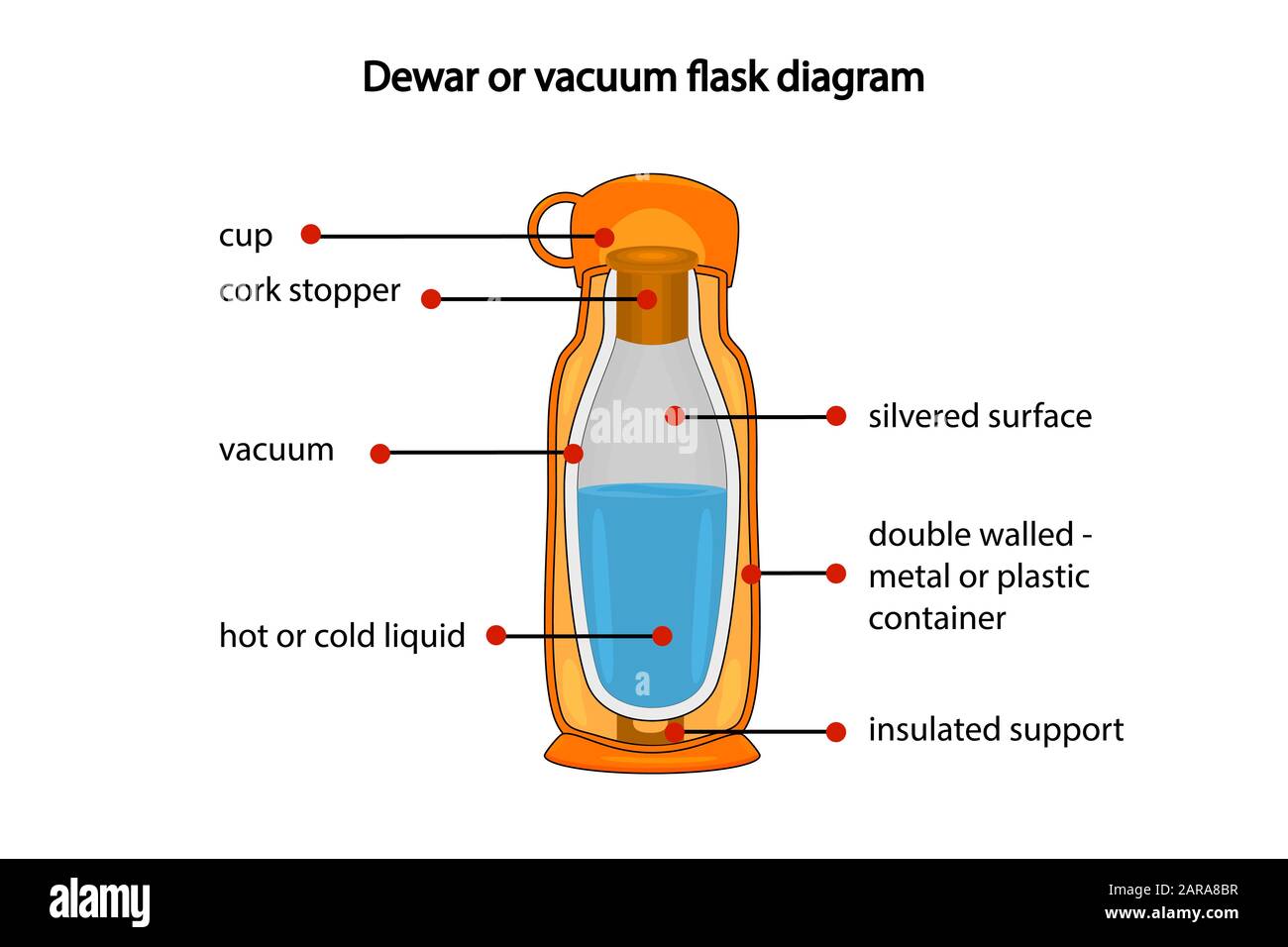 Diagramma di Dewar o beute sotto vuoto isolato su sfondo bianco. Vista in sezione trasversale del matraccio per vuoto Thermos. Diagramma che mostra gli strati del pallone sotto vuoto. Illustrazione Vettoriale