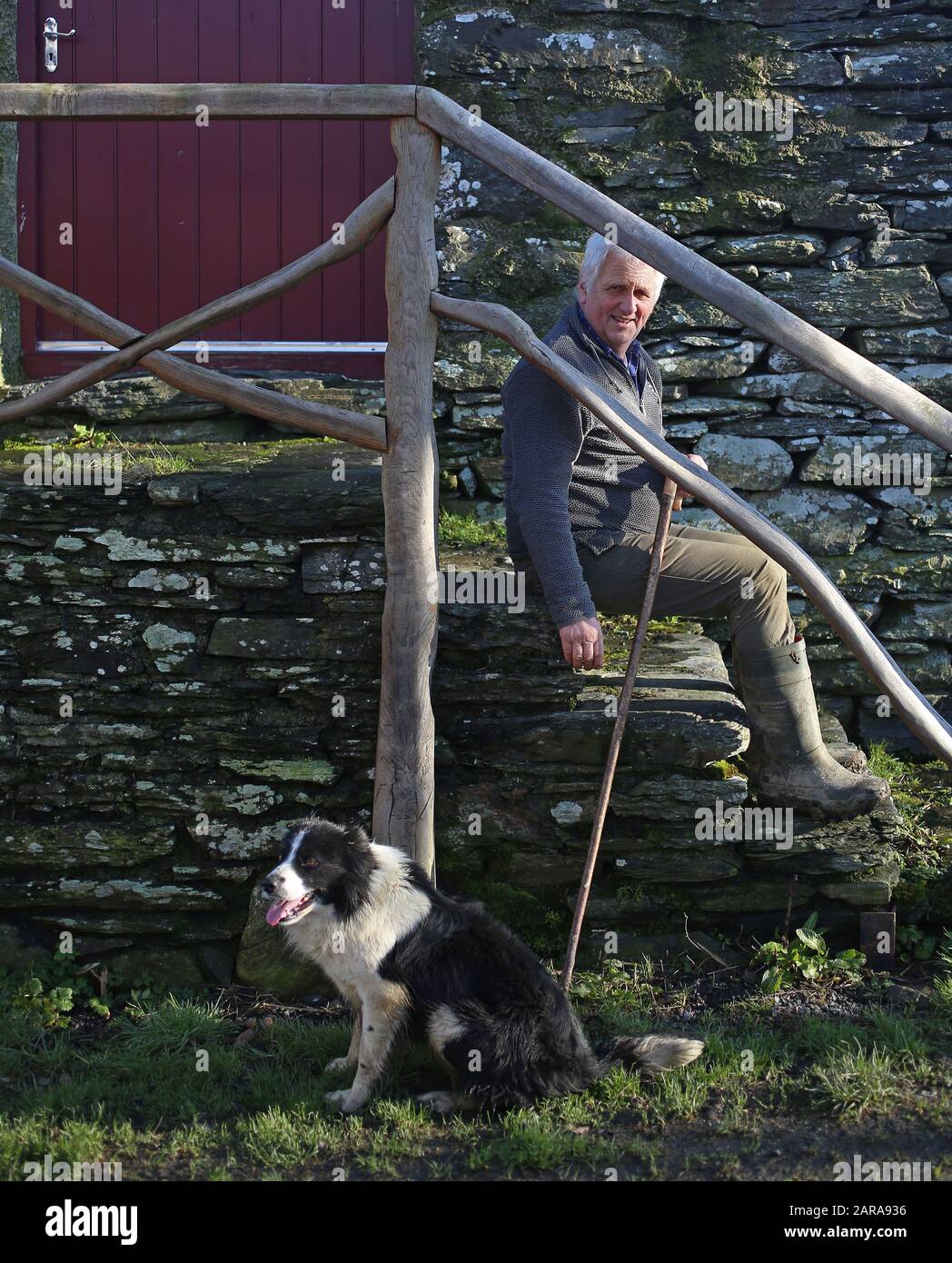 23 gennaio 2020, Regno Unito, Betws-Y-Coed: Glyn Roberts, presidente dell'Unione dei contadini nazionali gallesi, nella sua fattoria in Galles. I circa 18.000 agricoltori della parte britannica del paese temono gravi perdite dovute alla brexite. Essi dipendono fortemente dagli aiuti dell'Unione europea. Il Galles riceve annualmente dall'Unione europea circa 680 milioni di sterline (circa 800 milioni di euro). (A dpa-KORR.: 'Brexite incontra la casa dei poveri britannici Galles proprio nel cuore' del 26.01.2020) Foto: Susanna Irlanda/dpa Foto Stock
