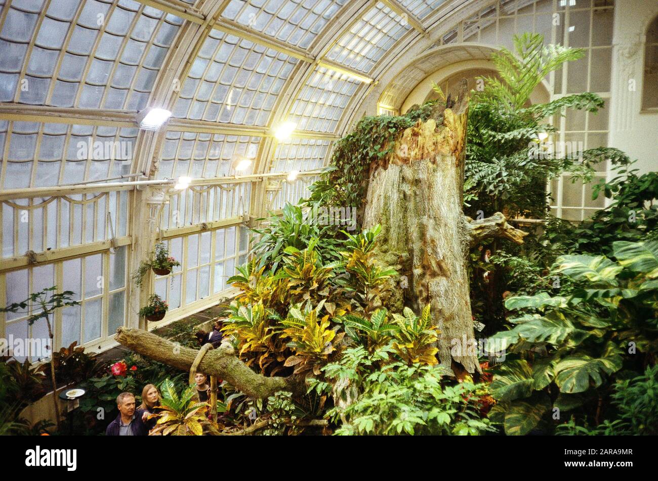 Casa Schmetterling, Butterfly Zoo, Vienna, Austria. Foto Stock