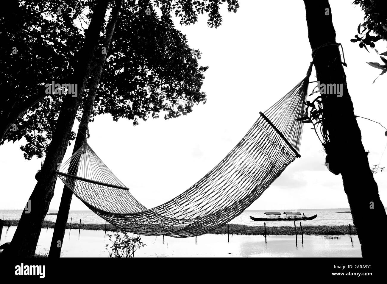 Amaca tra due alberi, lago Vembanad, Kumarakom, Kottayam, Kerala, India, Asia Foto Stock