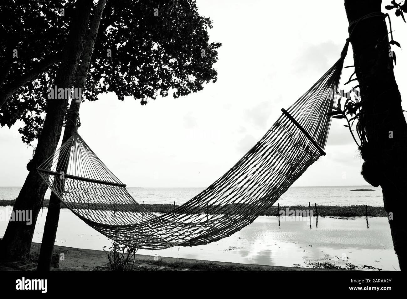 Amaca tra due alberi, lago Vembanad, Kumarakom, Kottayam, Kerala, India, Asia Foto Stock