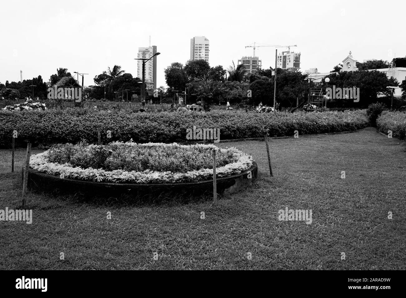 Letto Di Fiori, Pherozeshah Mehta Garden, Hanging Garden, Malabar Hill, Mumbai, Maharashtra, India, Asia Foto Stock