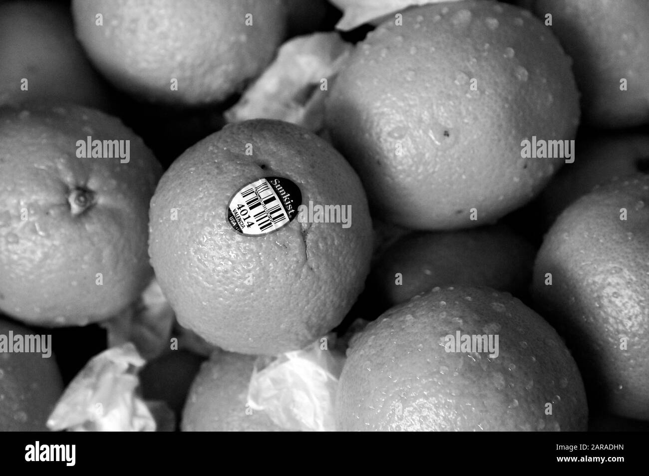 Adesivo Su Frutta, Arance Sunkist, Mercato Di Crawford, Mercato Di Mahatma Jyotiba Phule, Mumbai, Maharashtra, India, Asia Foto Stock