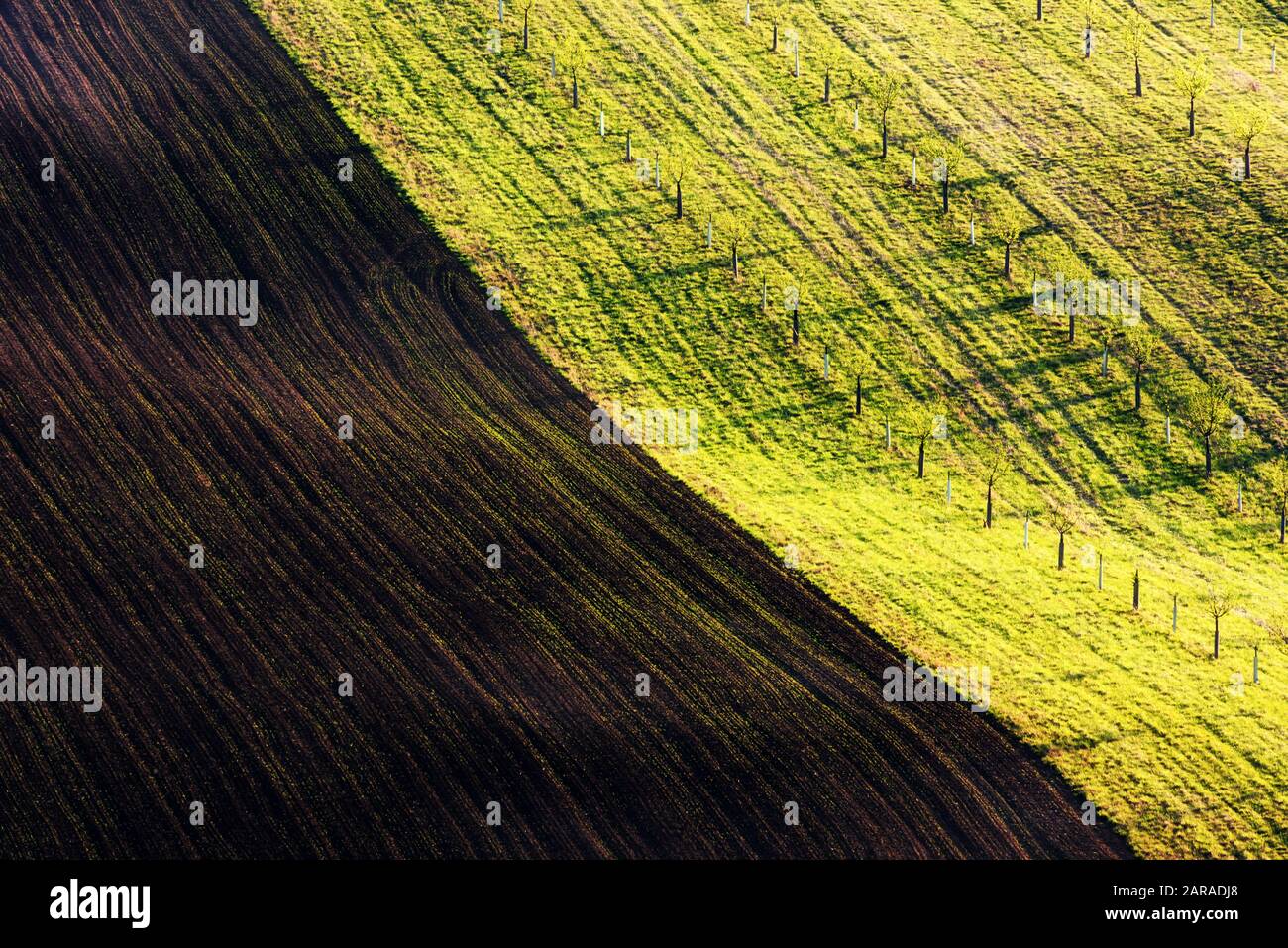 Paesaggio rurale di primavera con colline a strisce colorate. Onde verdi e marroni dei campi agricoli della Moravia meridionale, Repubblica Ceca. Può essere utilizzato come sfondo naturale o texture Foto Stock