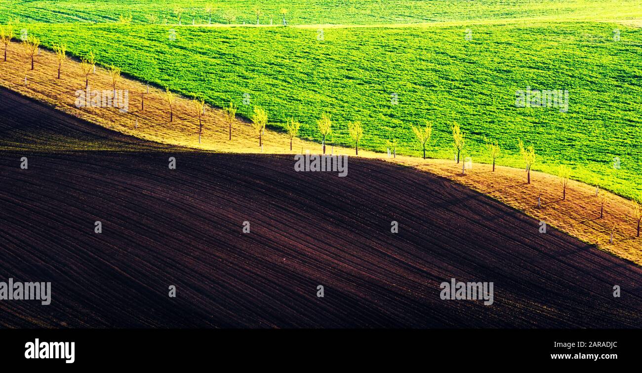 Paesaggio rurale di primavera con colline a strisce colorate. Onde verdi e marroni dei campi agricoli della Moravia meridionale, Repubblica Ceca. Può essere utilizzato come sfondo naturale o texture Foto Stock
