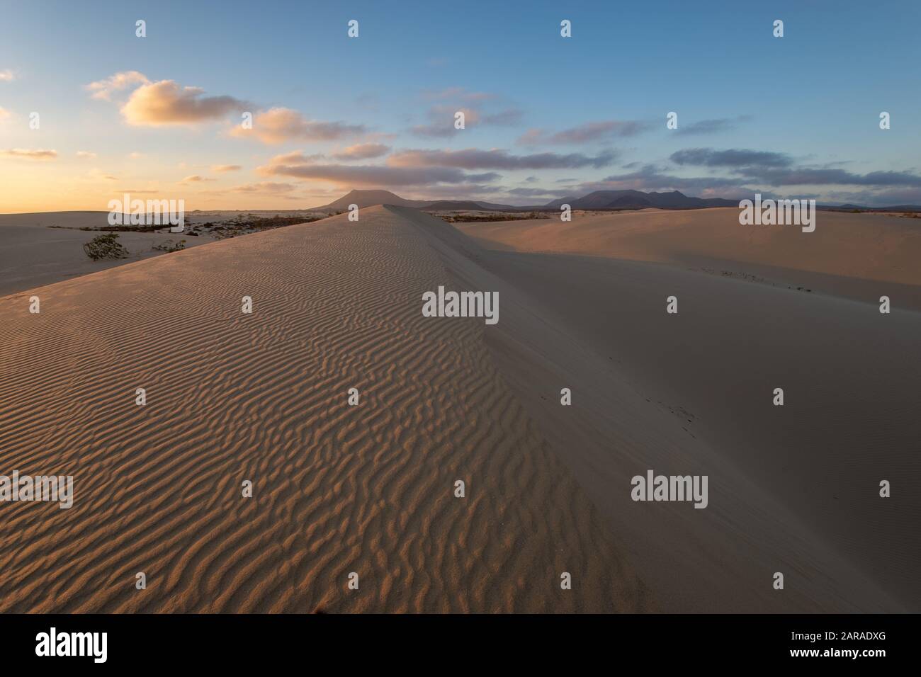 , Isole Canarie - Fuerteventura dune di sabbia nel Parco Nazionale di Dunas de Corralejo durante un bel tramonto Foto Stock