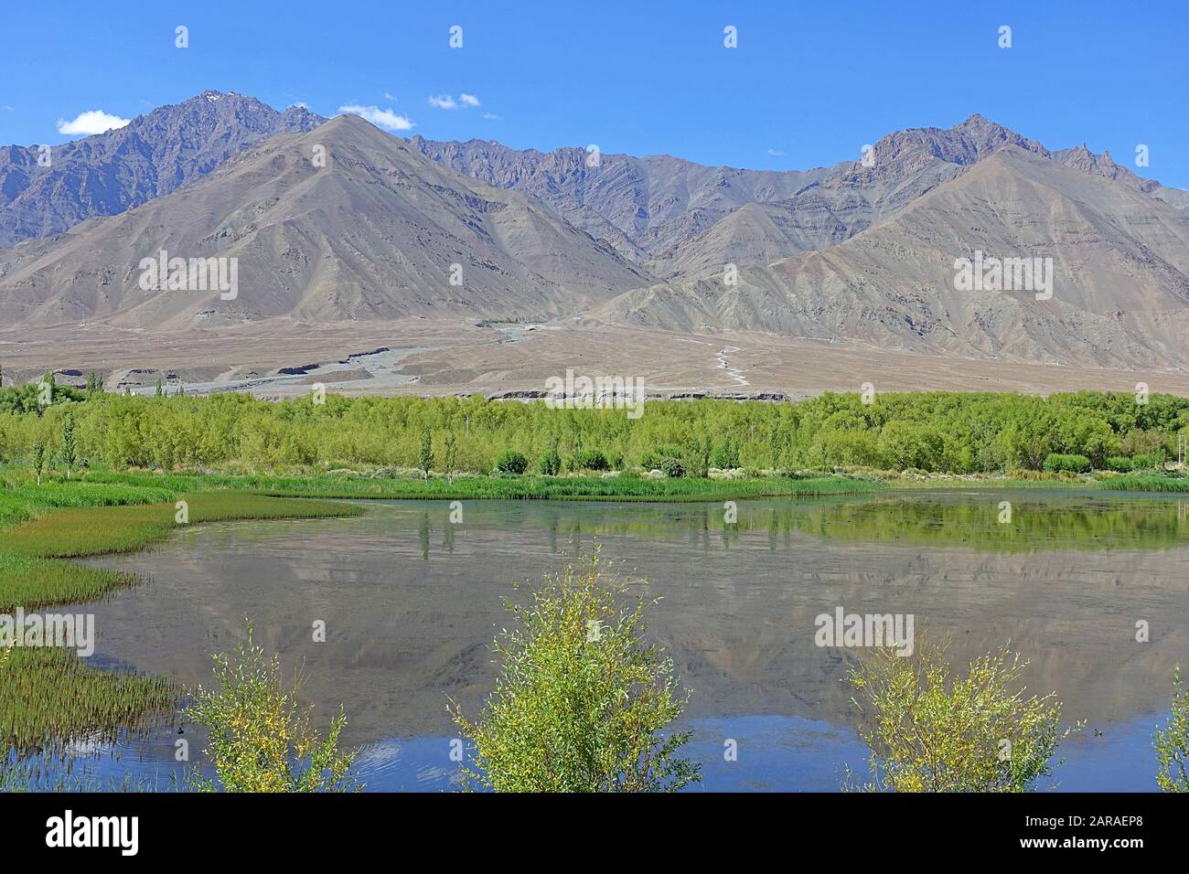 Laghi del fiume Indus con montagne nude dietro a Leh la capitale comune e la più grande città di Ladakh - India 2019 Foto Stock