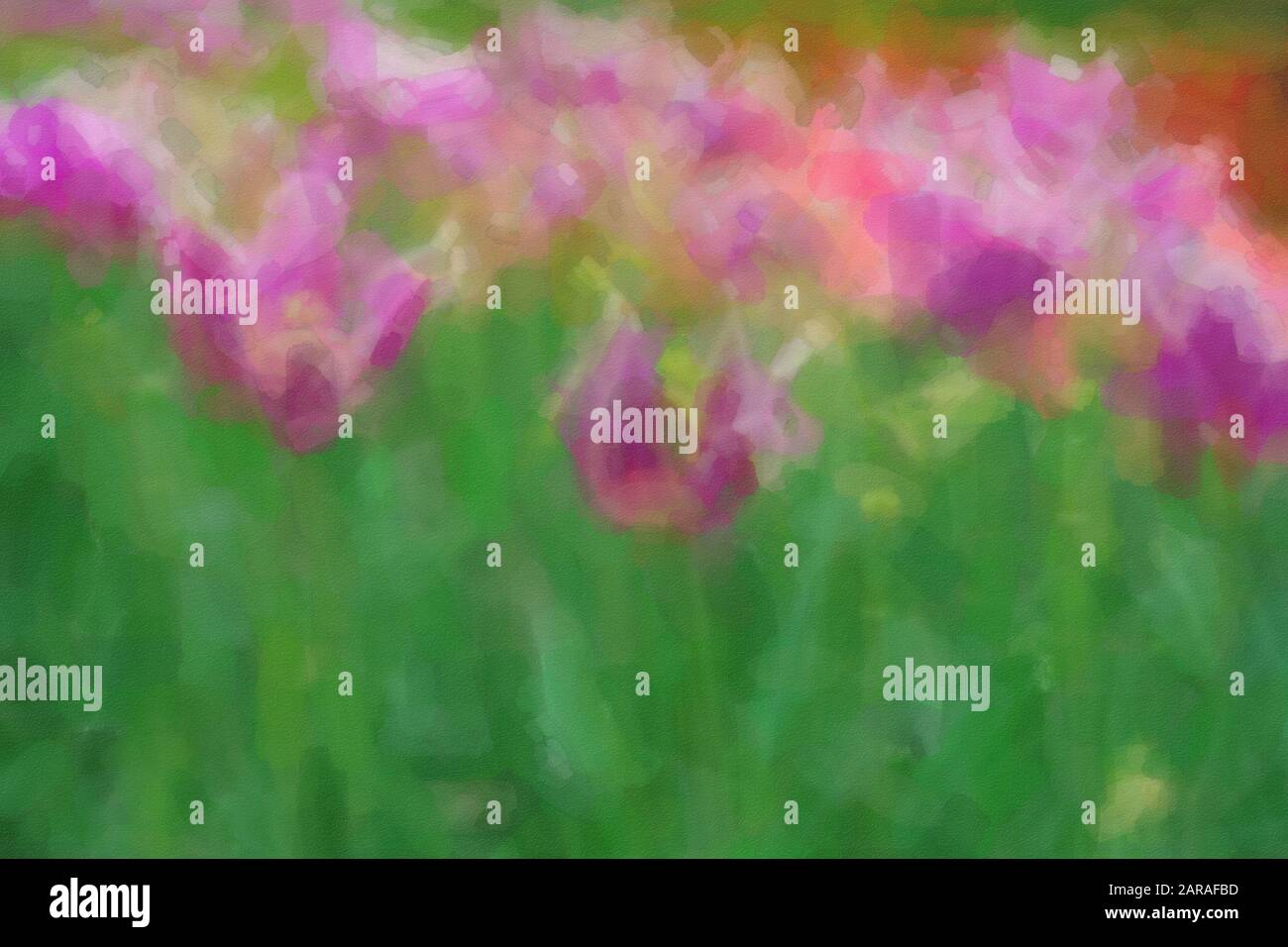 Fiore sfondo con tulipani dipinti in stile acquerello.Pittura digitale con fiori decorativi provenienti dai Paesi Bassi.colori Vivaci su carta da parati con e Foto Stock