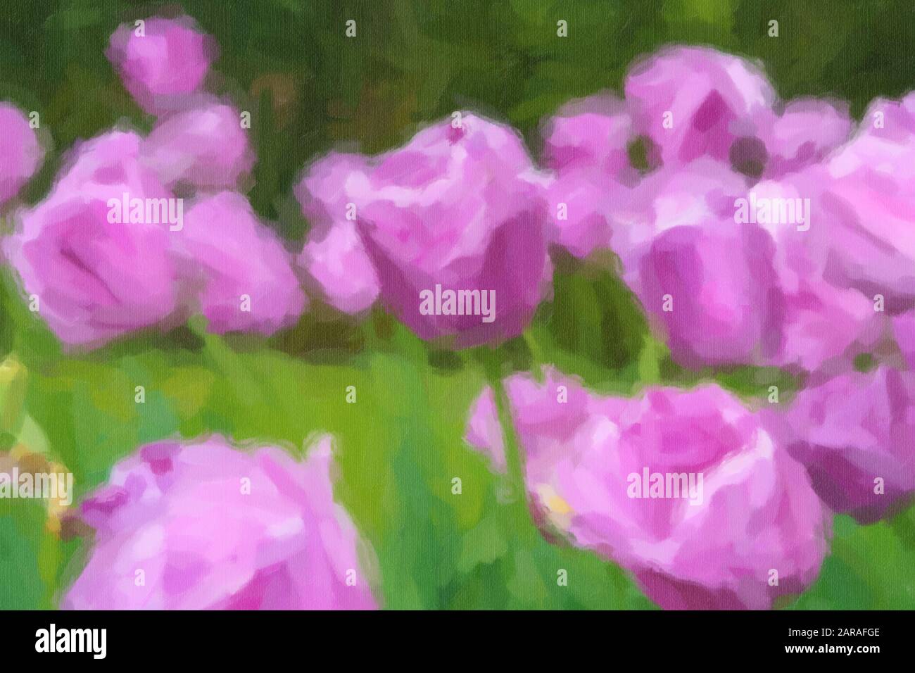 Acquerello dipinto illustrazione di tulipani viola in Olanda.Bello dipinto ad olio di tulipano campo fiore in Olanda.carta da parati floreale artistica Foto Stock