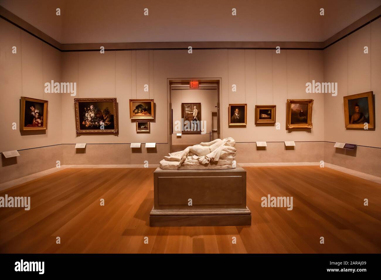 Sala del Metropolitan Museum of Art di New York City - 'The Met', il più grande museo d'arte degli Stati Uniti, a 1000 Fifth Avenue, Manhattan. Foto Stock
