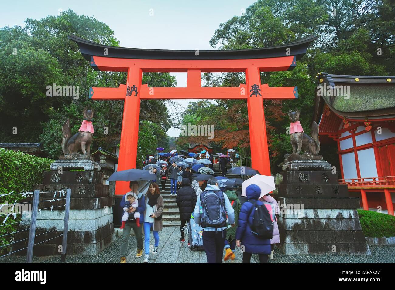 Kyoto, Giappone - 17 dicembre 2019 : bella scena nel santuario di Fushimi Inari Taisha a Fushimi-ku, Kyoto, Giappone. Foto Stock