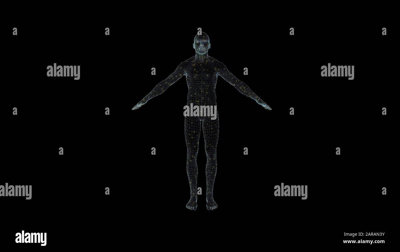 Struttura a reticolo dell'ologramma del corpo umano. Bel rendering 3D su sfondo nero Foto Stock