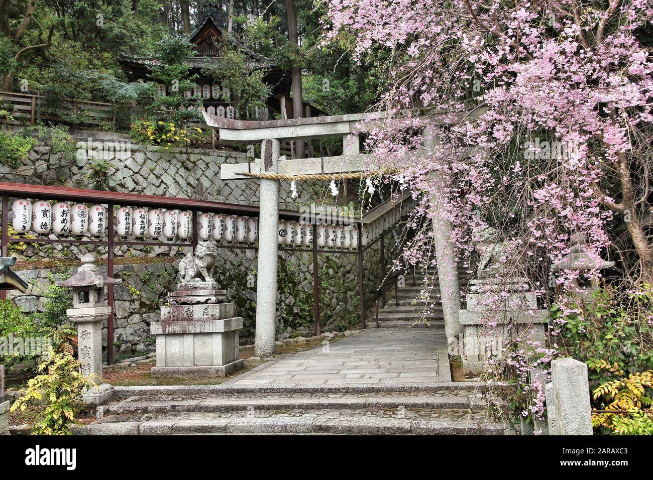 KYOTO, Giappone - 16 Aprile 2012: Hachi Santuario con fiori di ciliegio a Kyoto, in Giappone. Il santuario si trova a Ginkakuji motivi in Sakyo-ku distretto di K Foto Stock