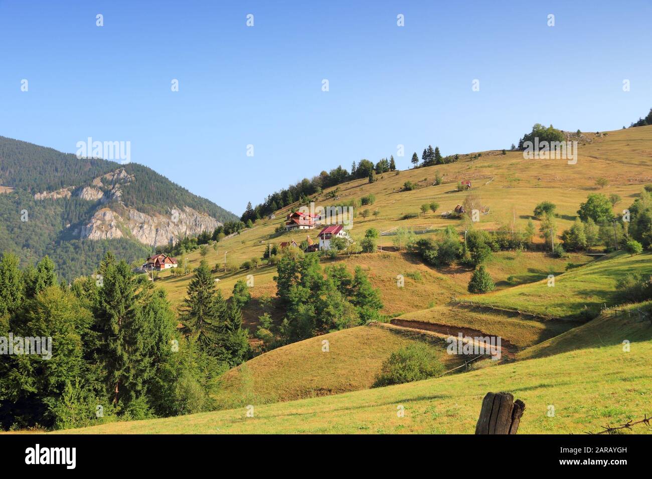 Estate in Romania. Montagne di Piatra Craiului Parco Nazionale - paesaggio rurale. Foto Stock