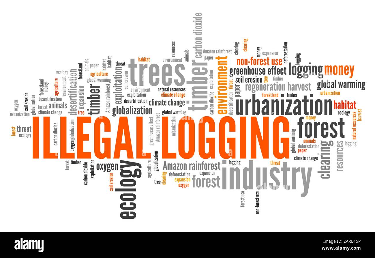 Le pratiche di disboscamento illegale word cloud. La criminalità ambientale concetto. Foto Stock