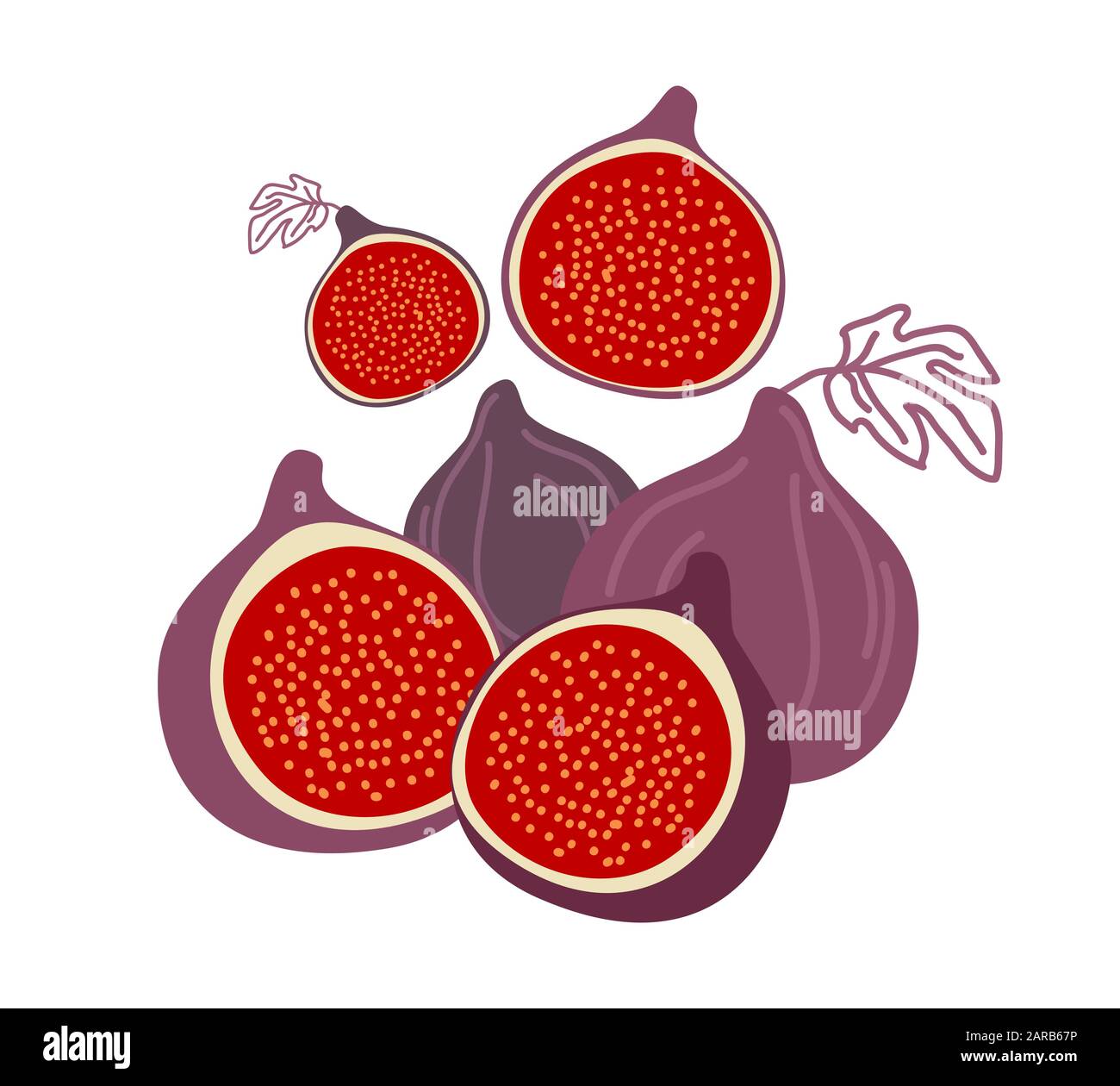 Vettori Di Fico Vettoriale Immagini E Fotos Stock Alamy