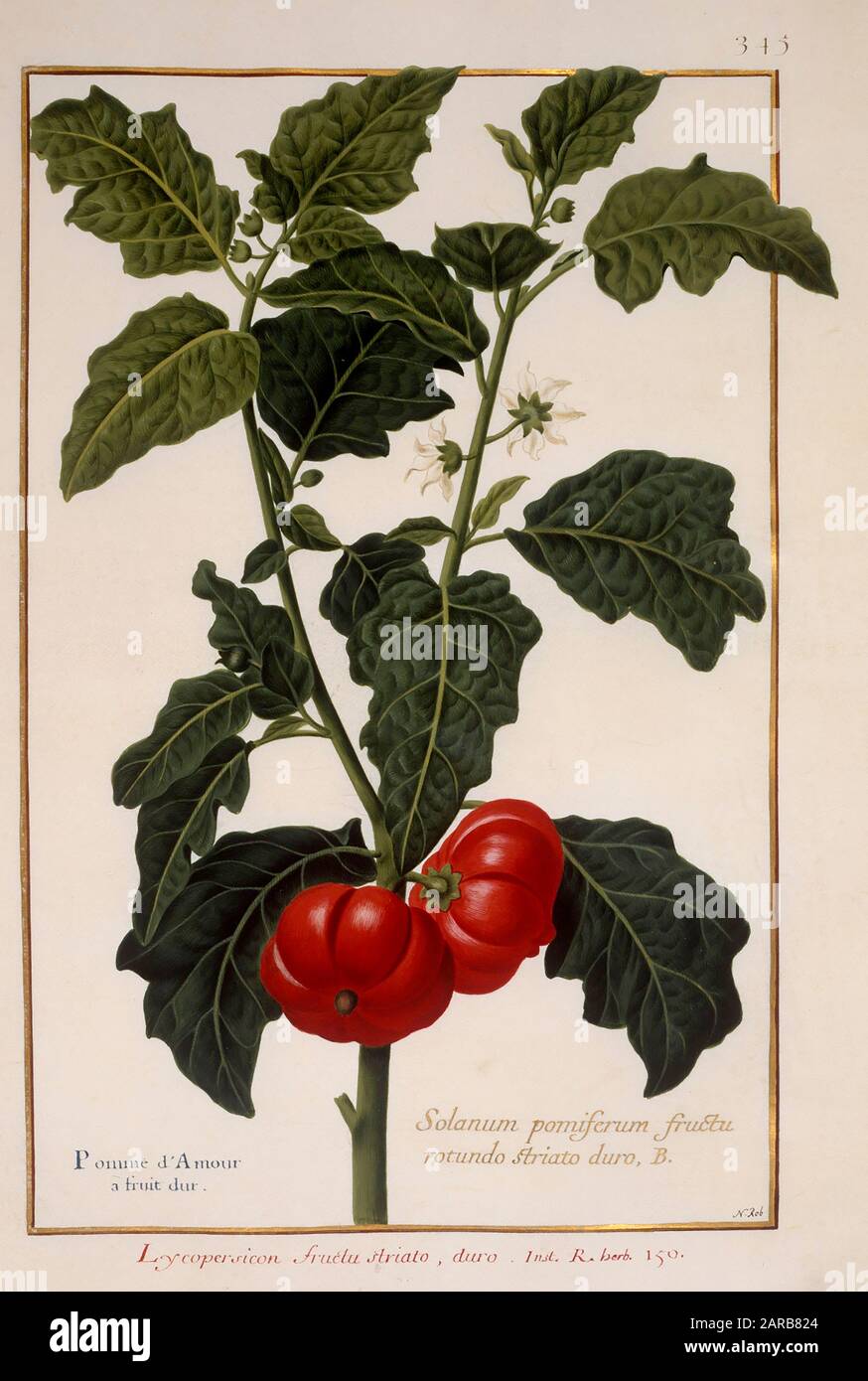 Cosa Succede Al Nostro Corpo Quando Consumiamo I Semi Di Pomodoro - Foto 10