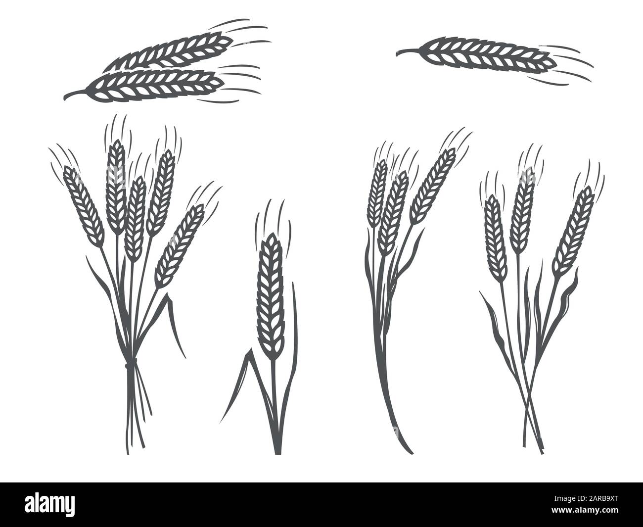 Icone Di Silhouette Di Grano Nero Vettoriale Impostate Su Sfondo Bianco Illustrazione Vettoriale