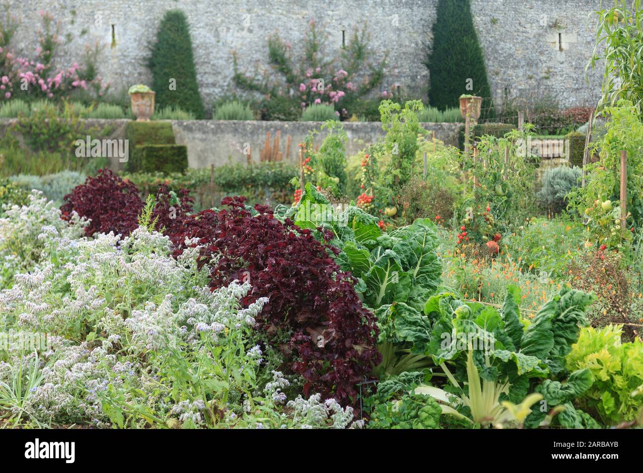 Francia, Indre et Loire, Chancay, Chateau de Valmer giardini, verdure nel giardino di verdure (menzione obbligatoria Chateau de Valmer) // Francia, Indre Foto Stock