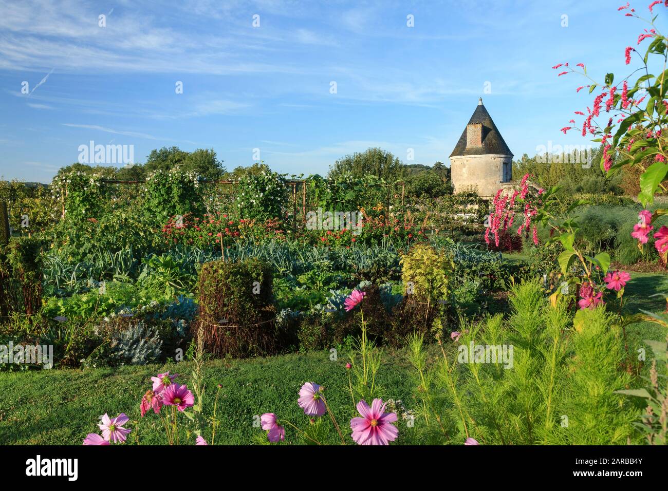 Francia, Indre et Loire, Chancay, Chateau de Valmer giardini, l'orto, verdure miste e fiori (menzione obbligatoria Chateau de Valmer) Foto Stock