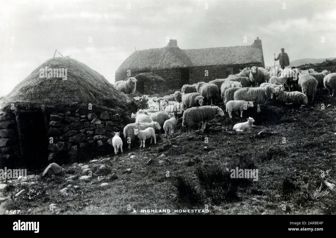 Una Highland Homestead con Shepherd e il suo gregge, la Scozia. Foto Stock