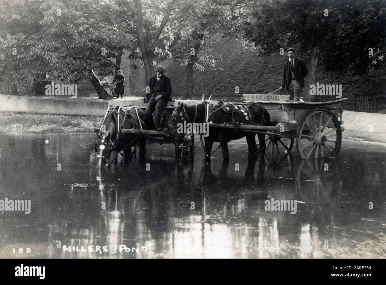 Croydon, Londra - Millers Pond - Un paio di autisti di carri portano i loro cavalli per un drink. Foto Stock