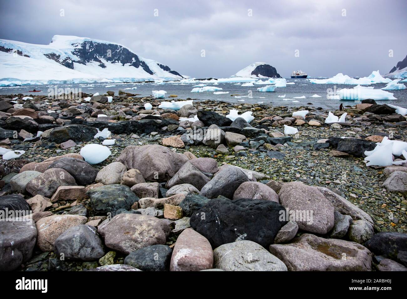 Nave da crociera per passeggeri antartici al largo delle coste ghiacciate dell'Antartide (Ocean Diamond Quark Expeditions) Foto Stock