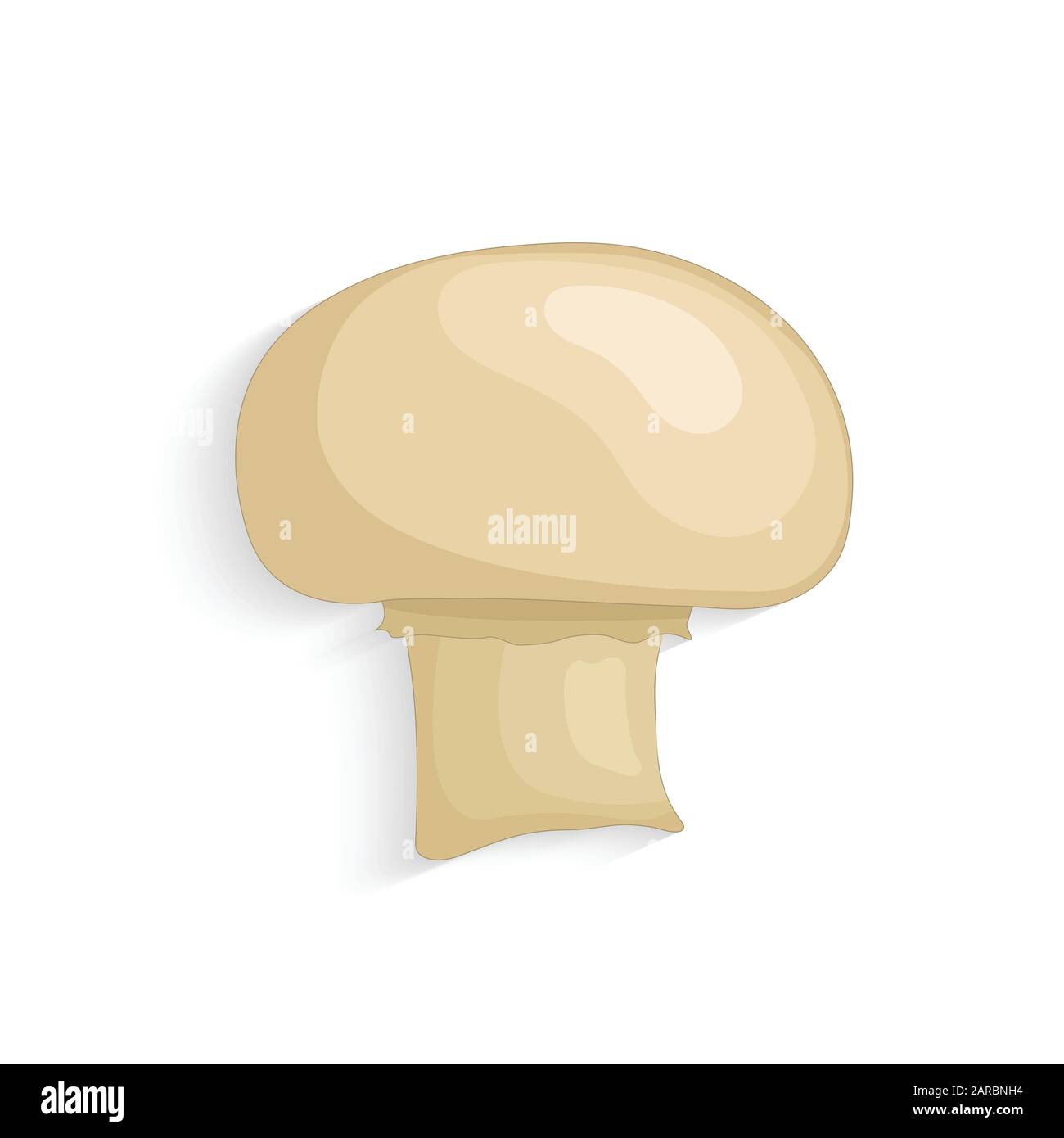 Funghi Champignon. Funghi biologici freschi realistici, illustrazione vettoriale Illustrazione Vettoriale