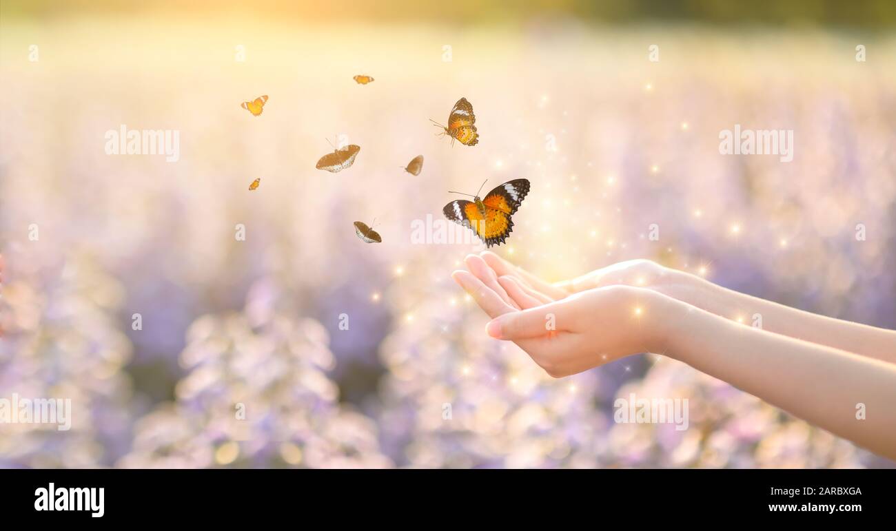 La ragazza si libera la farfalla dal vaso del frullatore, golden blue momento concetto di libertà Foto Stock