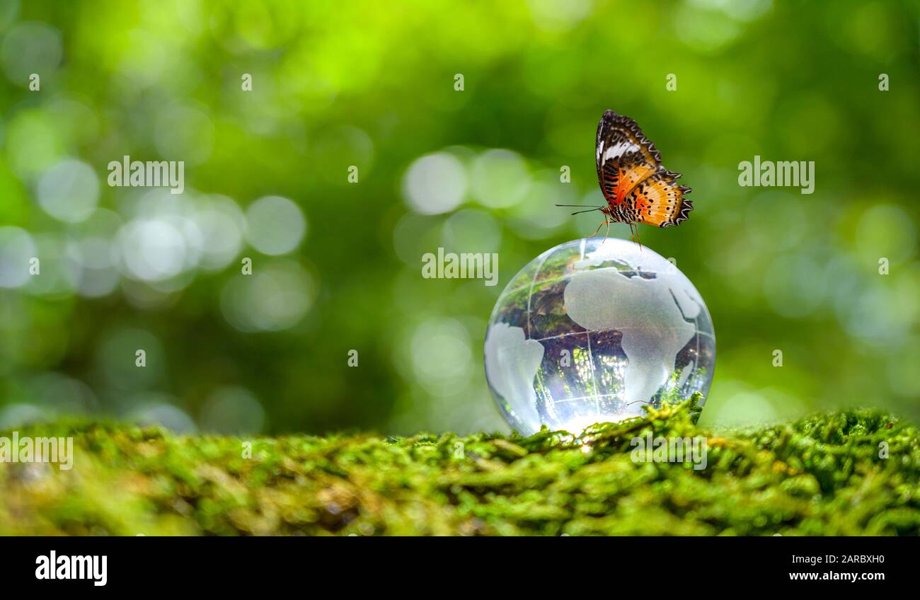 Concetto di salvare il mondo salvare Ambiente Il mondo è in erba del verde sfondo bokeh di fondo Foto Stock