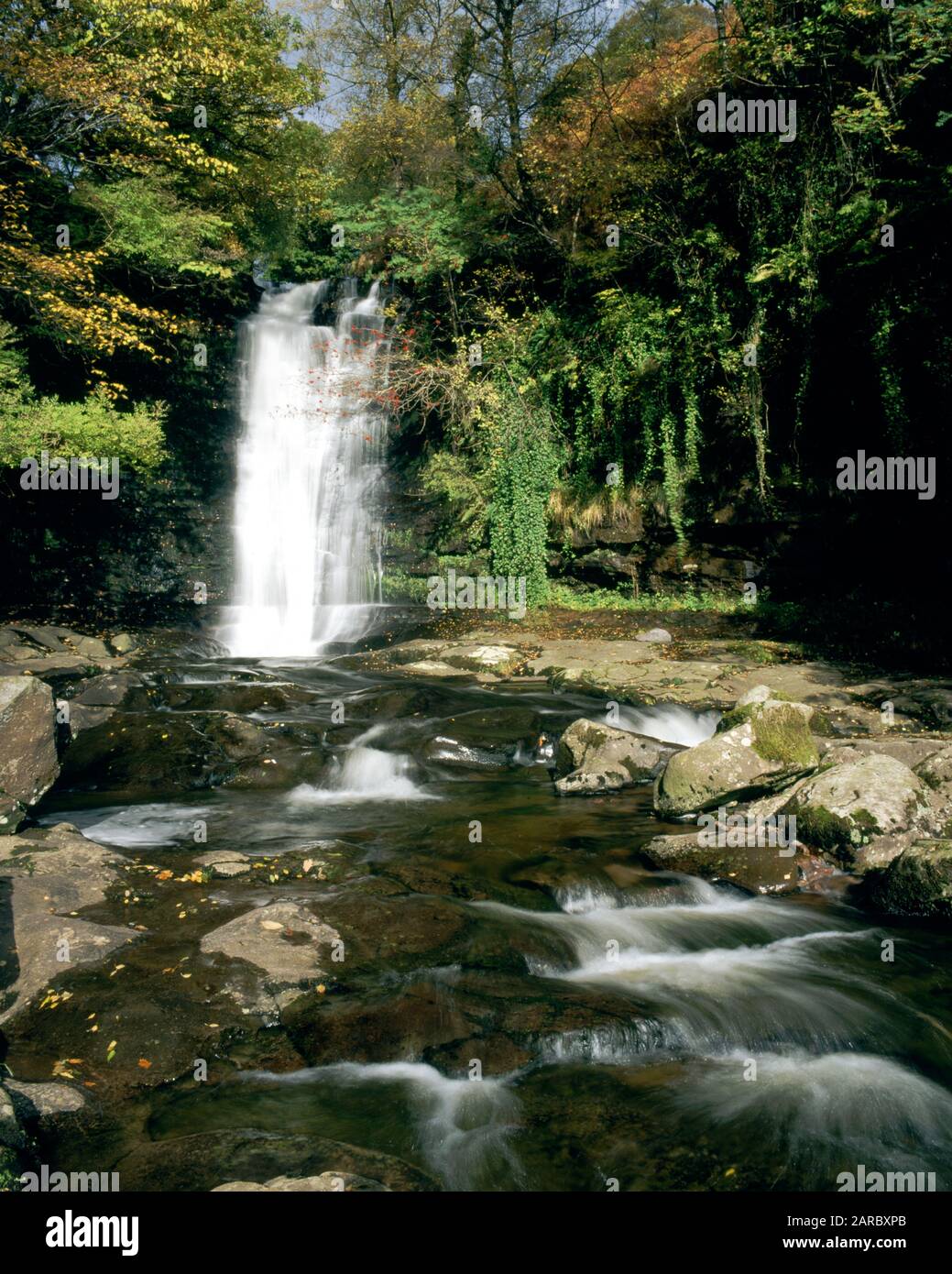 Cascata Sul Fiume Caerfanell, Blaen Y Glyn, Brecon Beacons National Park, Powys, Galles. Foto Stock