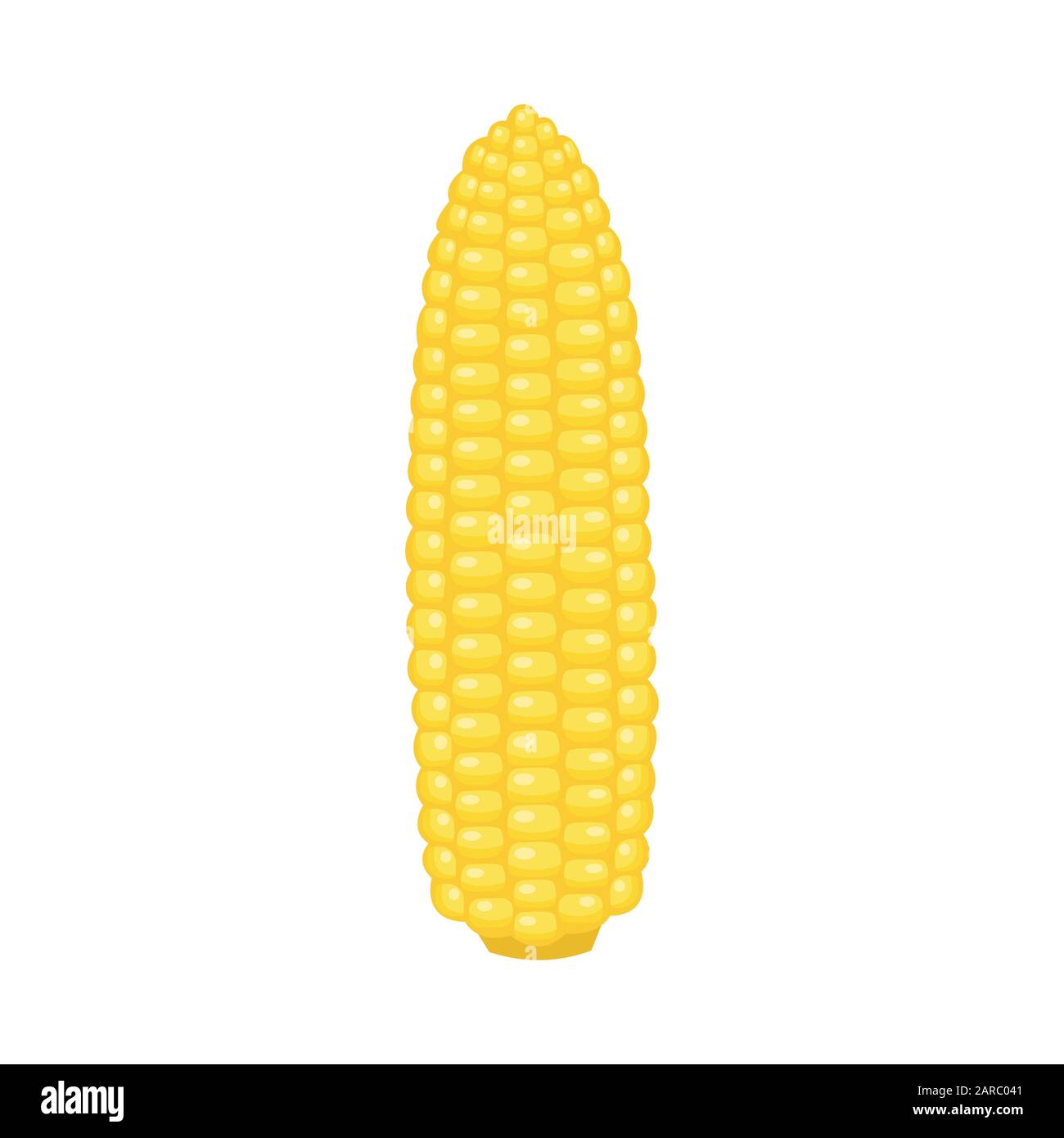 Pannocchie di mais su sfondo bianco, illustrazione vettoriale Illustrazione Vettoriale