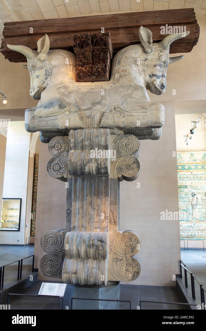 Capitale del doppio toro dal palazzo di Darius i nella collezione Delle antichità vicino orientale nell'ala Richelieu del Museo del Louvre (Musée du Louvre), Parigi, Francia Foto Stock