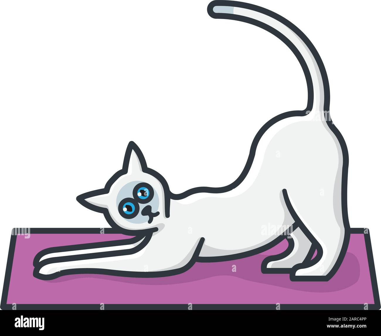 Stretching siamese gatto su stuoia yoga isolato vettore illustrazione. Animale domestico e simbolo asiatico di colore di esercitazione Illustrazione Vettoriale
