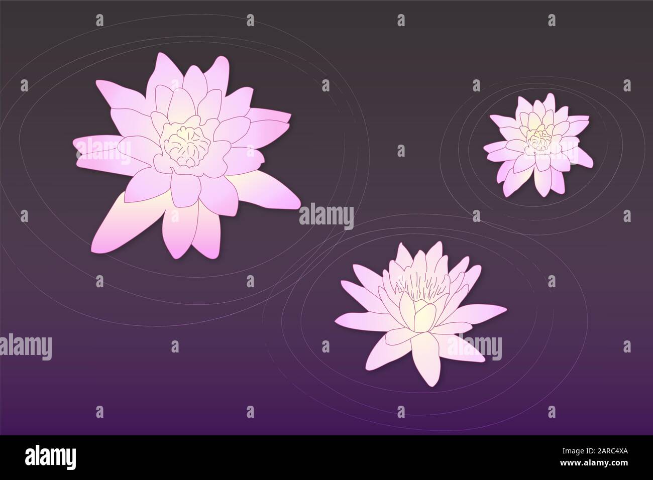Vettore arte rosa fiori di loto su acqua viola scuro con cerchi di sfondo. Tranquillo romantico fiori carino nel disegno stagno. Illustrazione Vettoriale