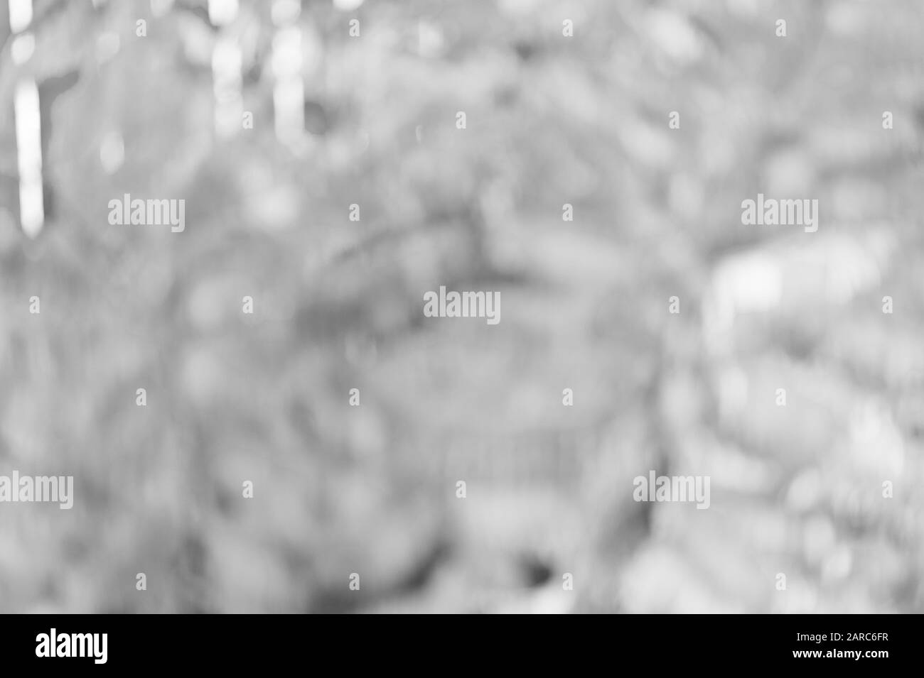 Caduta è bellissima. Colori dell'autunno sfondo astratto. I colori vivaci del fogliame di autunno. Luminose e profondo in colori. L'arte astratta design. Immagine sfocata. Bokeh effetto. Foto Stock