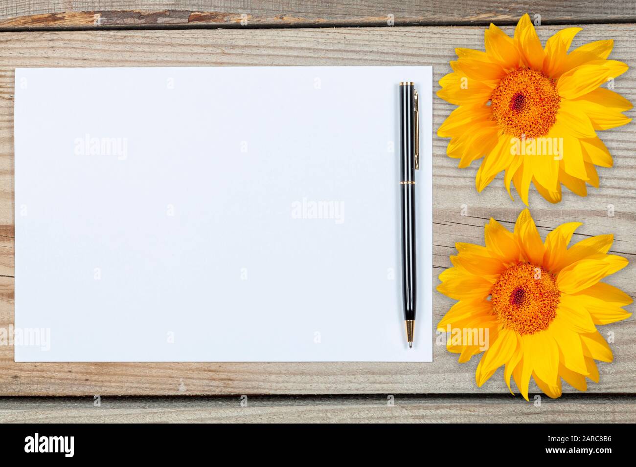 Un foglio di carta bianca circondato da girasoli su uno sfondo di legno. Foto Stock